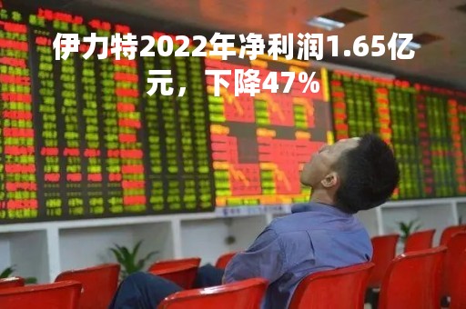 伊力特2022年净利润1.65亿元，下降47%