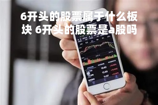 6开头的股票属于什么板块 6开头的股票是a股吗
