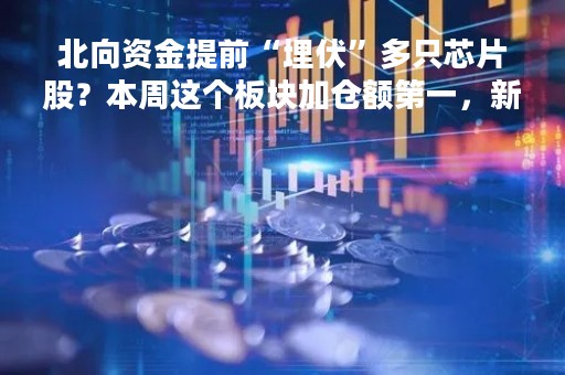 北向资金提前“埋伏”多只芯片股？本周这个板块加仓额第一，新能源持仓却意志动摇