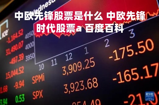 中欧先锋股票是什么 中欧先锋时代股票a 百度百科