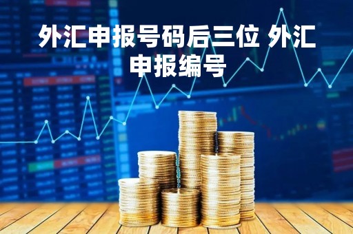外汇申报号码后三位 外汇申报编号