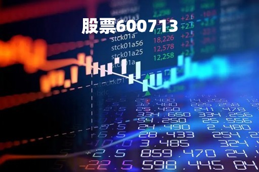 股票600713