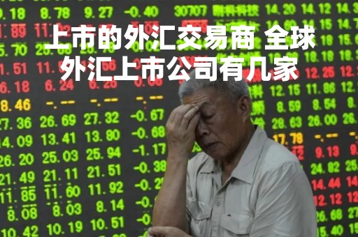上市的外汇交易商 全球外汇上市公司有几家