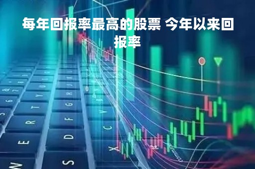 每年回报率最高的股票 今年以来回报率