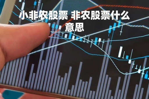 小非农股票 非农股票什么意思