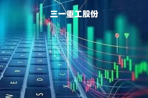 三一重工股份