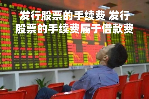 发行股票的手续费 发行股票的手续费属于借款费用吗