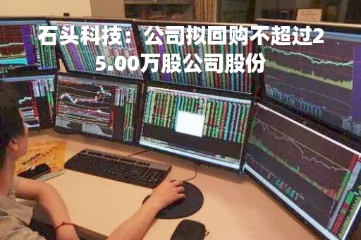 石头科技：公司拟回购不超过25.00万股公司股份