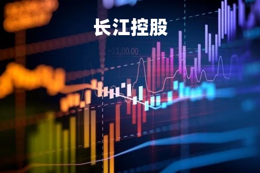 长江控股