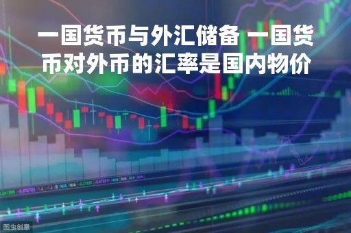 一国货币与外汇储备 一国货币对外币的汇率是国内物价水平的体现 一国货币与外汇储备 一国货币对外币的汇率是国内物价水平的体现