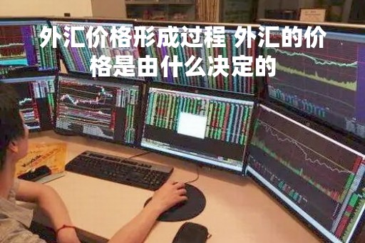 外汇价格形成过程 外汇的价格是由什么决定的