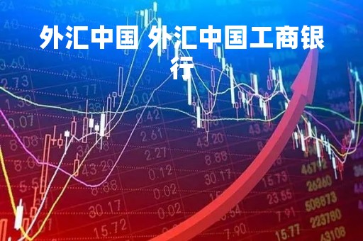 外汇中国 外汇中国工商银行