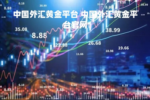 中国外汇黄金平台 中国外汇黄金平台官网