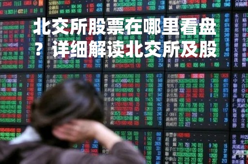 北交所股票在哪里看盘？详细解读北交所及股票交易市场