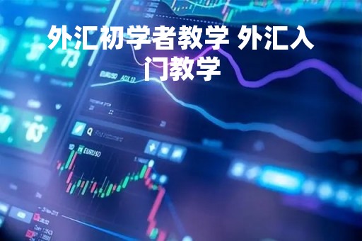 外汇初学者教学 外汇入门教学