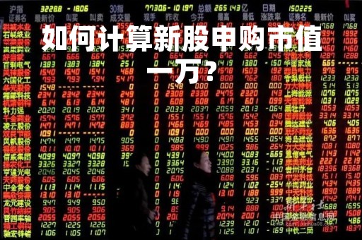 如何计算新股申购市值一万？