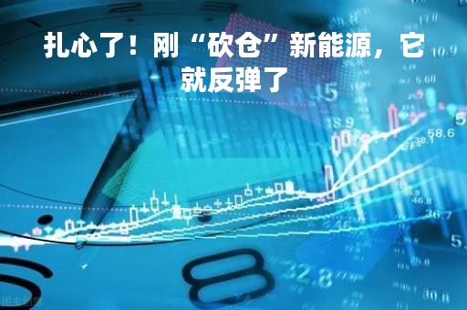扎心了！刚“砍仓”新能源，它就反弹了