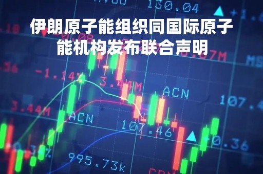 伊朗原子能组织同国际原子能机构发布联合声明