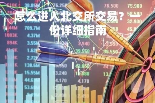 怎么进入北交所交易？一份详细指南