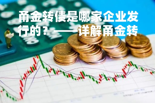 甬金转债是哪家企业发行的？——详解甬金转债的发行背景和企业情况