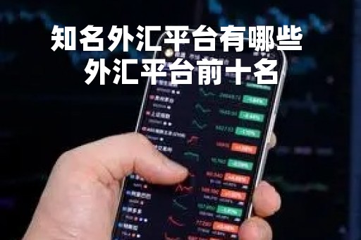 知名外汇平台有哪些 外汇平台前十名