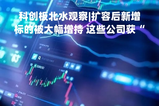 科创板北水观察|扩容后新增标的被大幅增持 这些公司获“越跌越买”