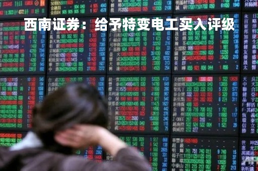 西南证券：给予特变电工买入评级