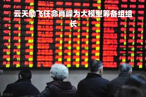 云天励飞任命肖嵘为大模型筹备组组长