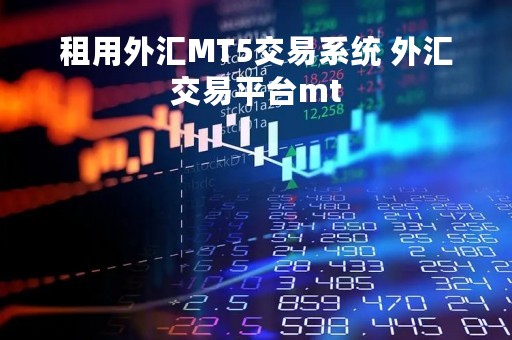租用外汇MT5交易系统 外汇交易平台mt