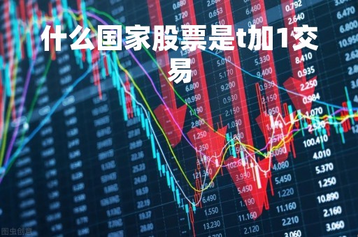 什么国家股票是t加1交易