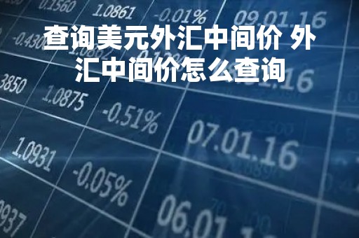 查询美元外汇中间价 外汇中间价怎么查询