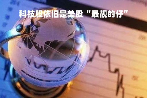 科技股依旧是美股“最靓的仔”