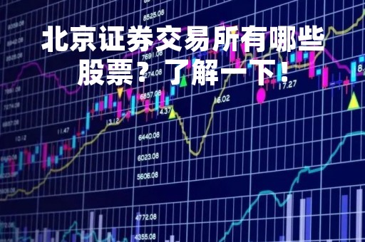 北京证券交易所有哪些股票？了解一下！