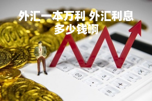 外汇一本万利 外汇利息多少钱啊