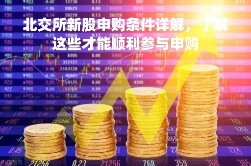 北交所新股申购条件详解，了解这些才能顺利参与申购