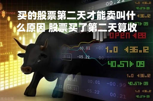买的股票第二天才能卖叫什么原因 股票买了第二天算收益吗