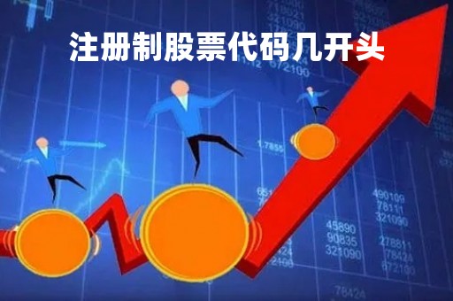 注册制股票代码几开头