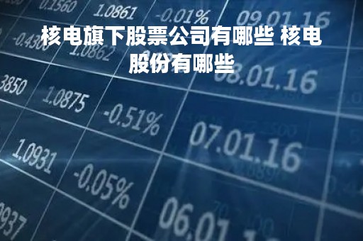核电旗下股票公司有哪些 核电股份有哪些
