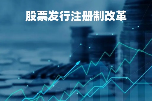 股票发行注册制改革