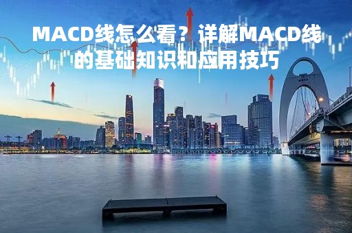 MACD线怎么看？详解MACD线的基础知识和应用技巧