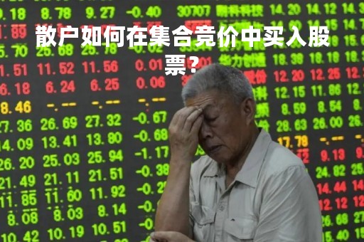 散户如何在集合竞价中买入股票？