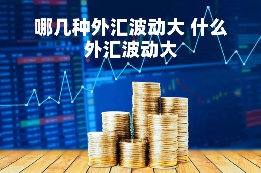 哪几种外汇波动大 什么外汇波动大