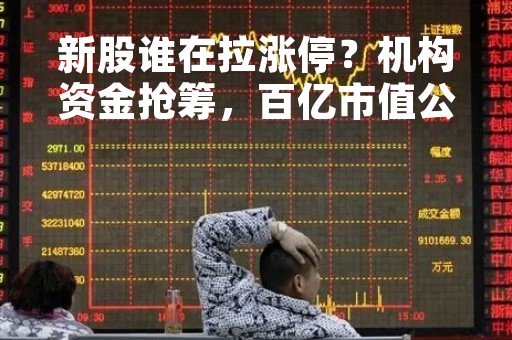 新股谁在拉涨停?机构资金抢筹,百亿市值公司暴涨