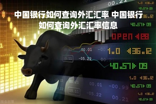中国银行如何查询外汇汇率 中国银行如何查询外汇汇率信息