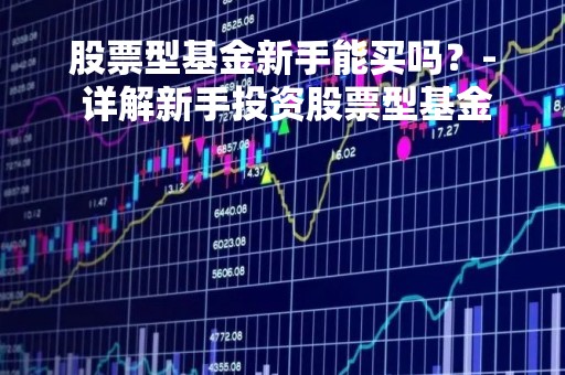 股票型基金新手能买吗？- 详解新手投资股票型基金的风险与收益