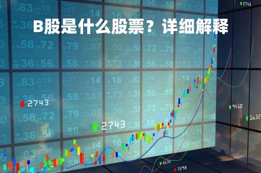 B股是什么股票?详细解释