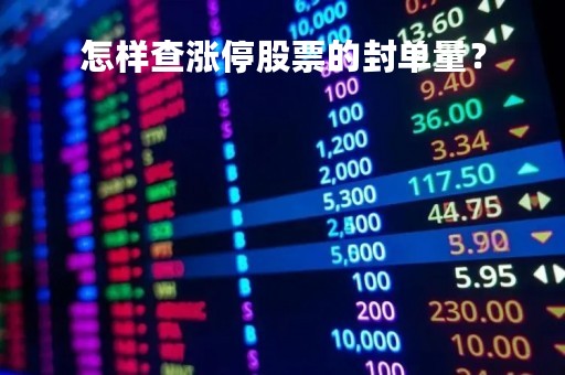 怎样查涨停股票的封单量？