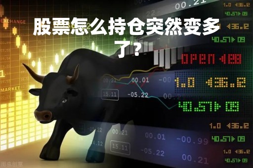 股票怎么持仓突然变多了？