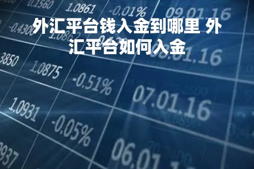 外汇平台钱入金到哪里 外汇平台如何入金