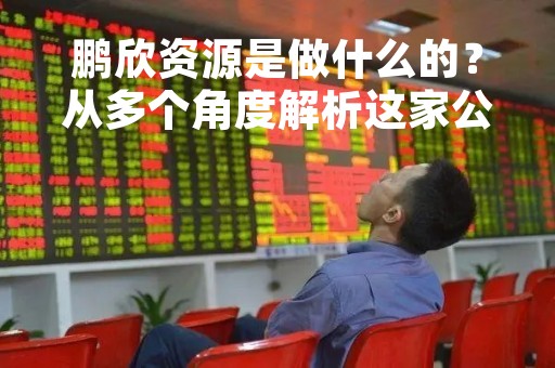 鹏欣资源是做什么的？从多个角度解析这家公司的业务模式